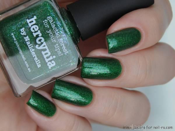 Picture Polish Hercynia