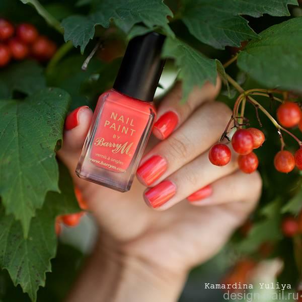 Barry M Coral