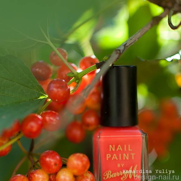 Barry M Coral
